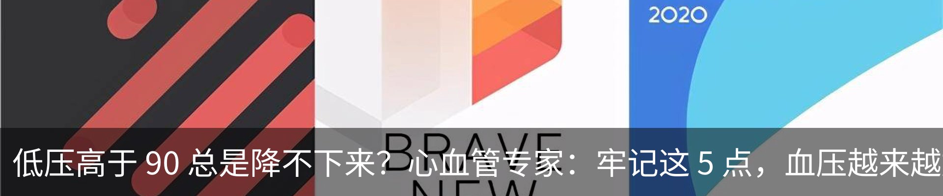 最新动态