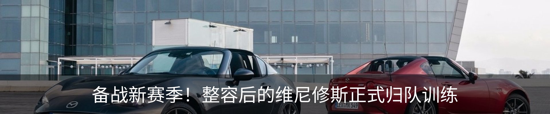 最新动态
