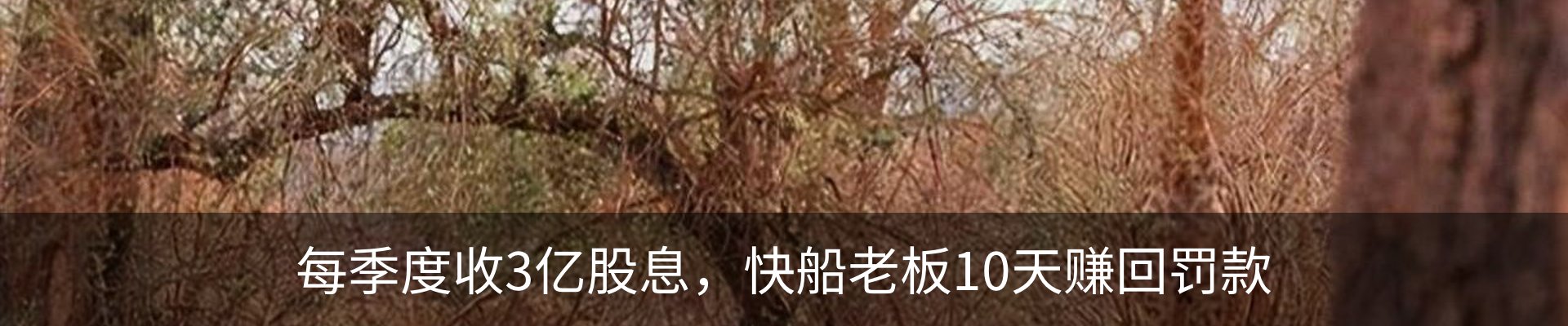 最新动态