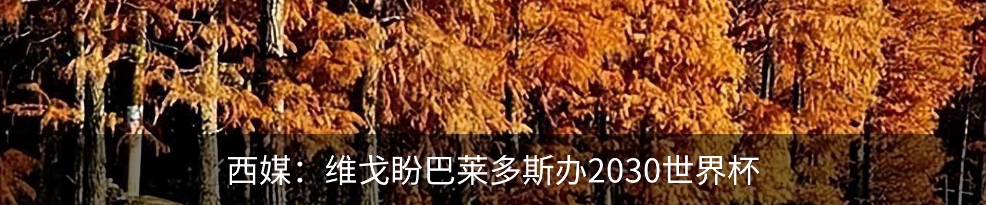 最新动态