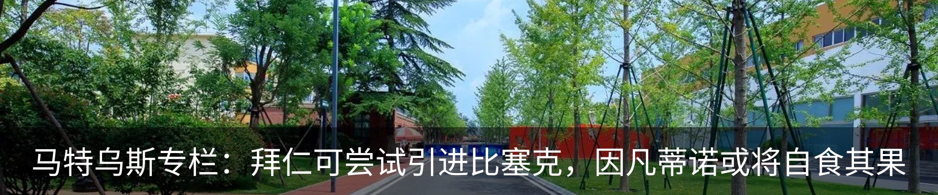 最新动态